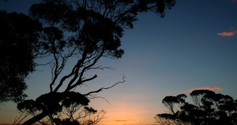 Foto Jejak: Australia, Sunset di Murray-Sunset National Park Australia Victoria - Sunset near Murray Sunset National Park 800x600