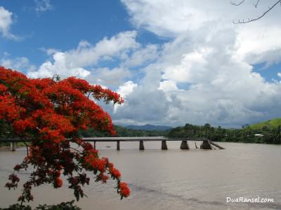 Fiji - Sigatoka - broken train track bridge Jembatan kereta api tua yang rusak di Sigatoka