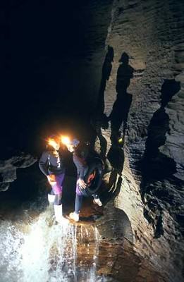 Waitomo Caves: Jumping over waterfall Gua Waitomo: Melompat di air terjun