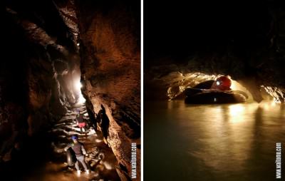 Waitomo Caves: cave walking; tubing under low ceiling Gua Waitomo: Menyusuri gua, tubing di bawah langit-langit rendah