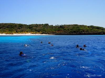 Scuba diving at West Bay, Roatan Island, Honduras
