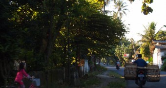 Pulang Kampung Dadakan Pemandangan jalanan di sebuah desa dekat Blitar di Jawa Timur