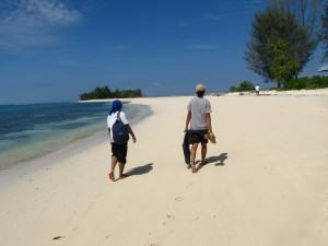 IndoRanselers 55 Adhi IndoRanselers 55 Adhi