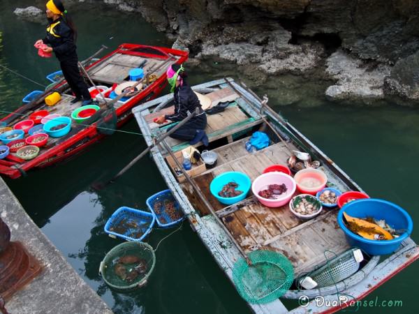 Vietnam Halong Bay 23 - Pasar apung 2R Pasar apung