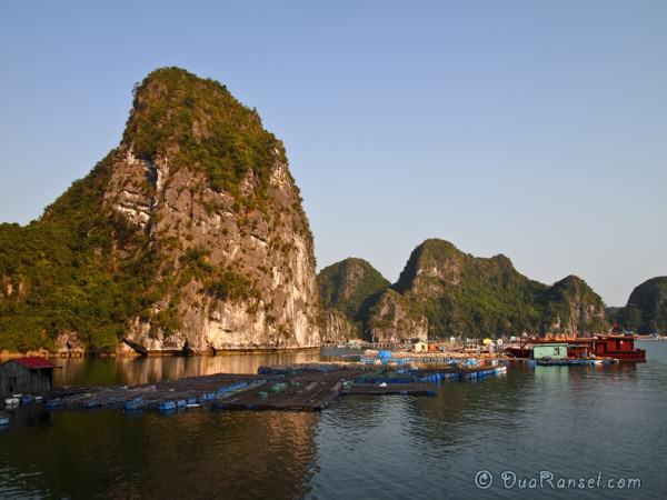 Vietnam Halong Bay 38 - Fishing village 2R Floating farm