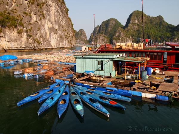 Vietnam Halong Bay 41 - Kayak 2R Kayak central