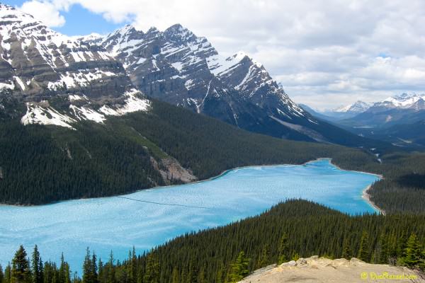 Peyto glacier-fed lake, Banff National Park, Alberta, Canada - Canadian Rockies Banff