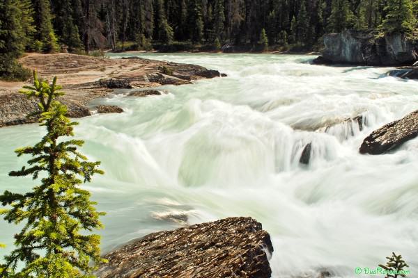 Natural Bridge rapid, Yoho National Park, British Columbia, Canada Natural Bridge rapid, Yoho National Park, British Columbia, Canada
