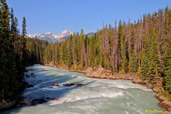 Kicking Horse River, Yoho National Park, British Columbia, Canada Kicking Horse River, Yoho National Park, British Columbia, Canada