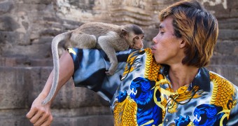 Bahasa Travel Thailand Lopburi - Prang Sam Yot - I love you Monkey