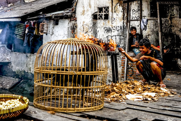 Menyiapkan batok kelapa untuk membakar ayam