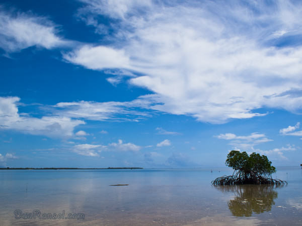 Honda Bay | Palawan Island 