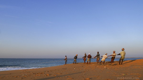 A row of fishermen pulling fishing net at Quilon Beach