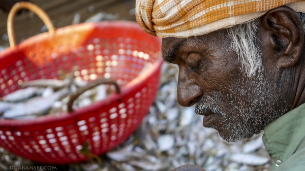 A fisherman sorting fish