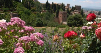 Flower garden in Alhambra, Granada, Spain