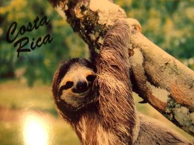 Sloth postcard from Monteverde, Costa Rica