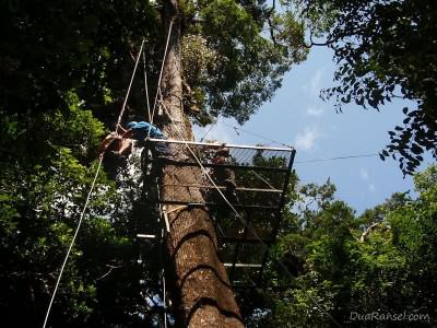 Rappel - Tur zip-line kanopi, hutan hujan-pegunungan Monteverde, Kosta Rika