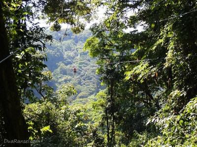 Zip-line gaya Superman - Tur zip-line kanopi, hutan hujan-pegunungan Monteverde, Kosta Rika