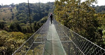 Jembatan Tarzan Swing - Tur zip-line kanopi, hutan hujan-pegunungan Monteverde, Kosta Rika