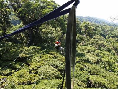 Zip-line - Tur zip-line kanopi, hutan hujan-pegunungan Monteverde, Kosta Rika