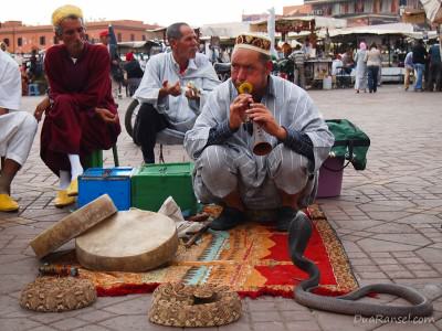 Pawang ular di Jemaa el-Fna, Marrakesh, Maroko