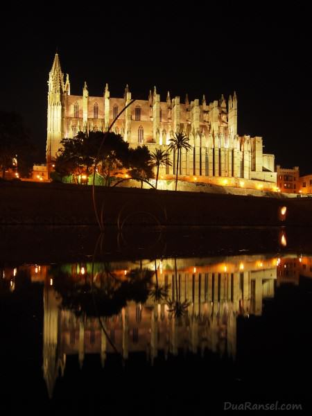 Spain - Mallorca - Palma Cathedral reflection at night