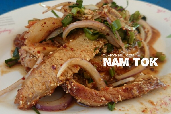 Nam tok - Thai grilled meat salad